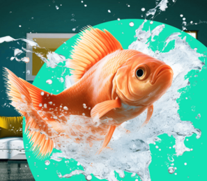 img Зоотовары для рыбок