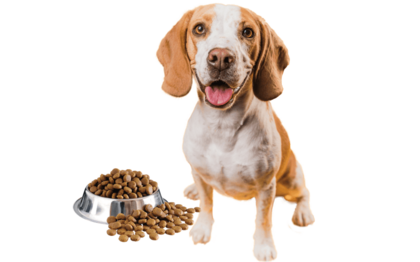 Сухие корма для собак