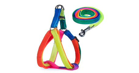 Triol Комплект шлейка и поводок, разноцветные