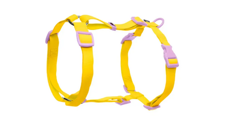 Triol Шлейка из биотана Лимонная черника