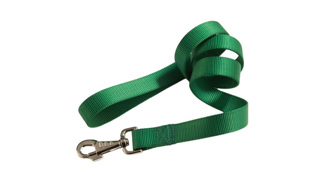 CAMON Поводок нейлоновый, зелёный