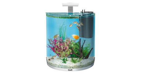 Tetra Аквариум 