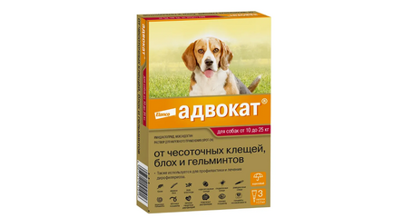  Адвокат для собак от 10 до 25 кг