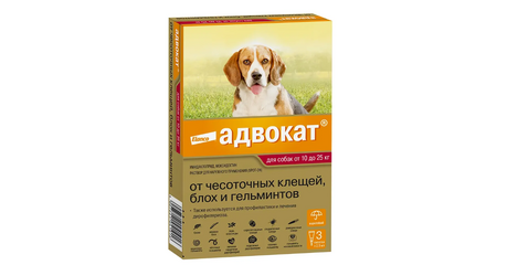  Адвокат для собак от 10 до 25 кг